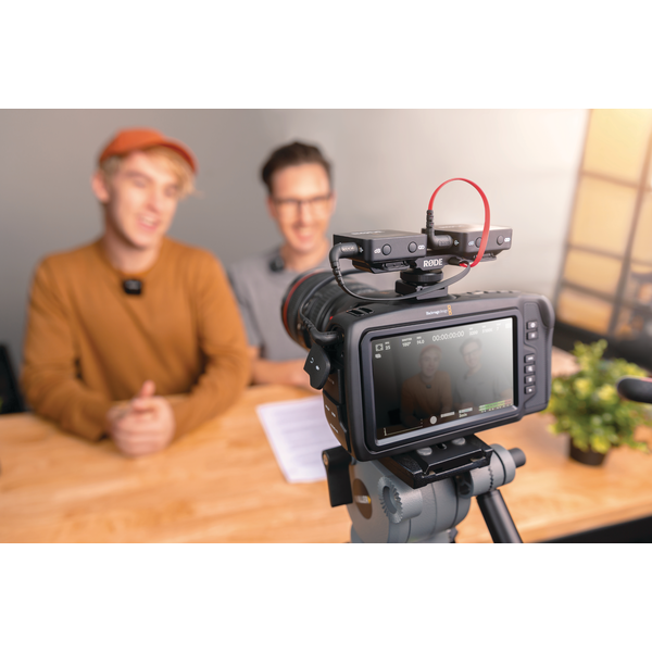 RØDE SC11 TRS kis jack Y szétosztó kábel, 0.3m