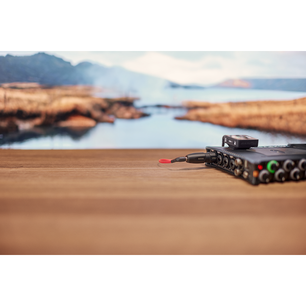 RØDE VXLR+ kis jack - XLR adapter fantom feszültség konverzióval RØDE VXLR+ kis jack - XLR adapter fantom feszültség konverzióval