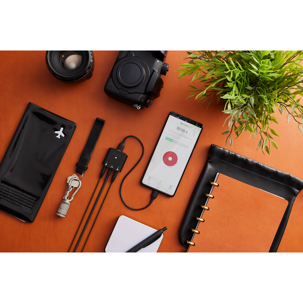 RØDE SC22-P USB-C kábel, 0.3m, rózsaszín RØDE SC22-P USB-C kábel, 0.3m, rózsaszín